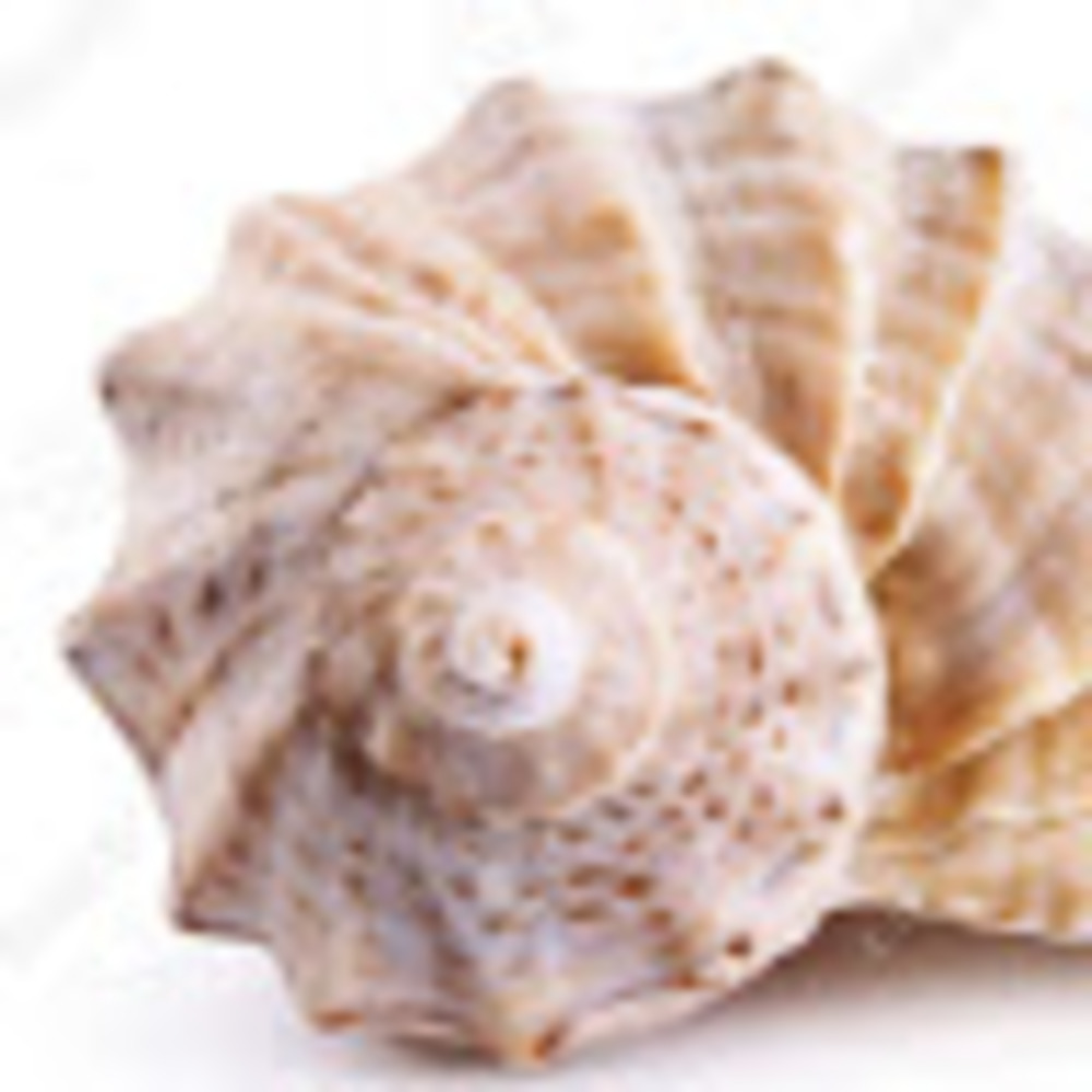 Meet your Posher, Nastasia